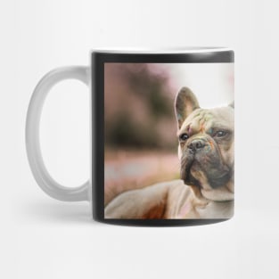 French bulldog with holi powder in the grass Mug